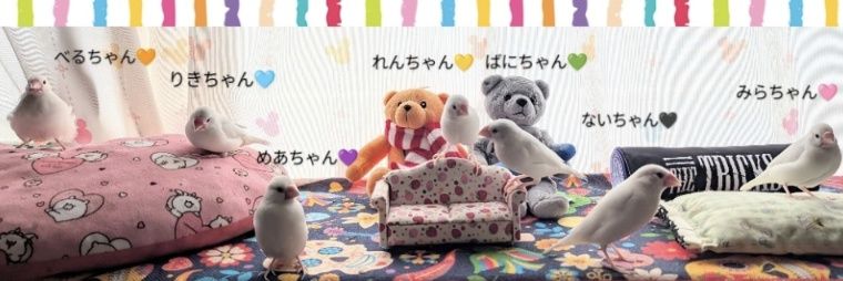 ゆみぴよ banner