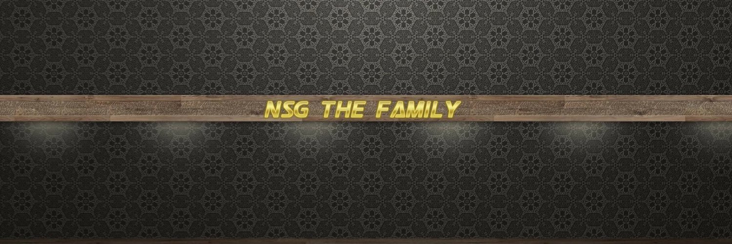 nsgstew's profile banner image