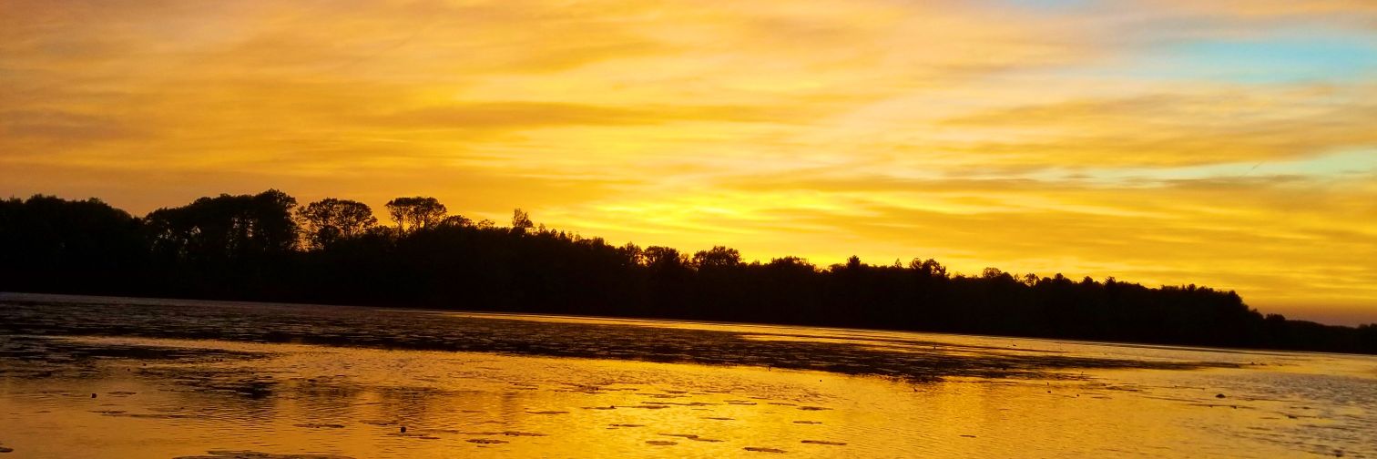 LadyAngler45's profile banner image