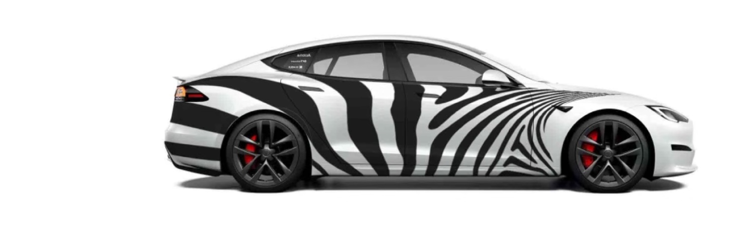 ZEBRA SYSTEMS banner