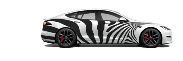 Zebra_systems Profile Banner