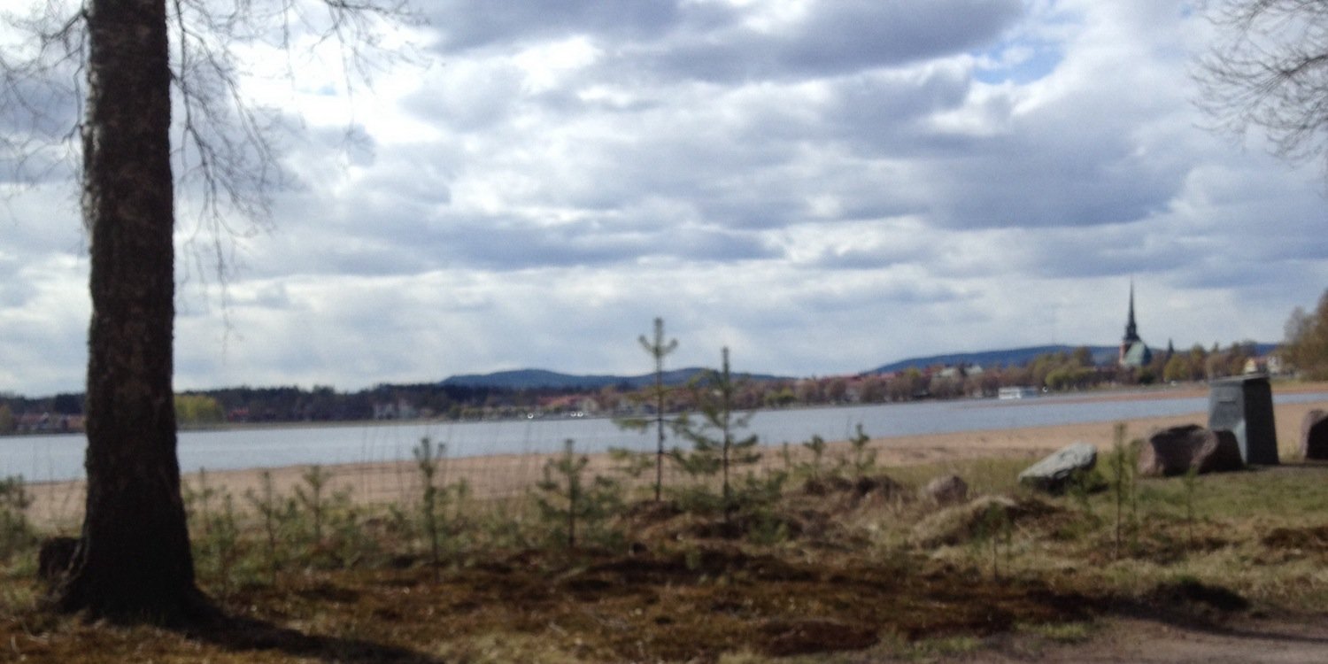 Erik Wikström banner