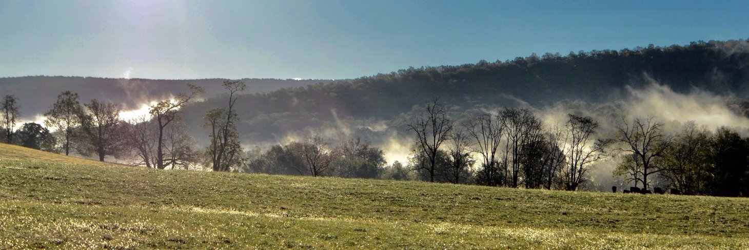 clarkecountydems banner