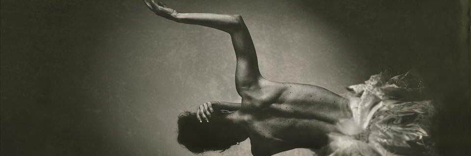 Parole di Danza banner