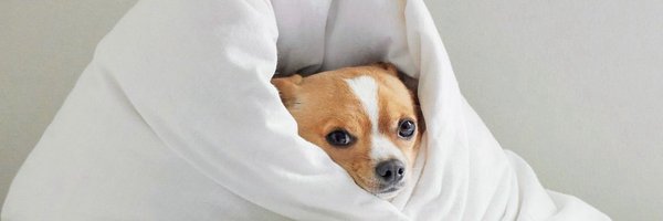 _tobyblush Profile Banner