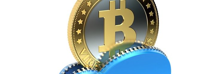 dollarbtc's profile banner image