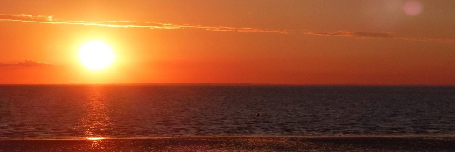 Rebecca Pearce banner