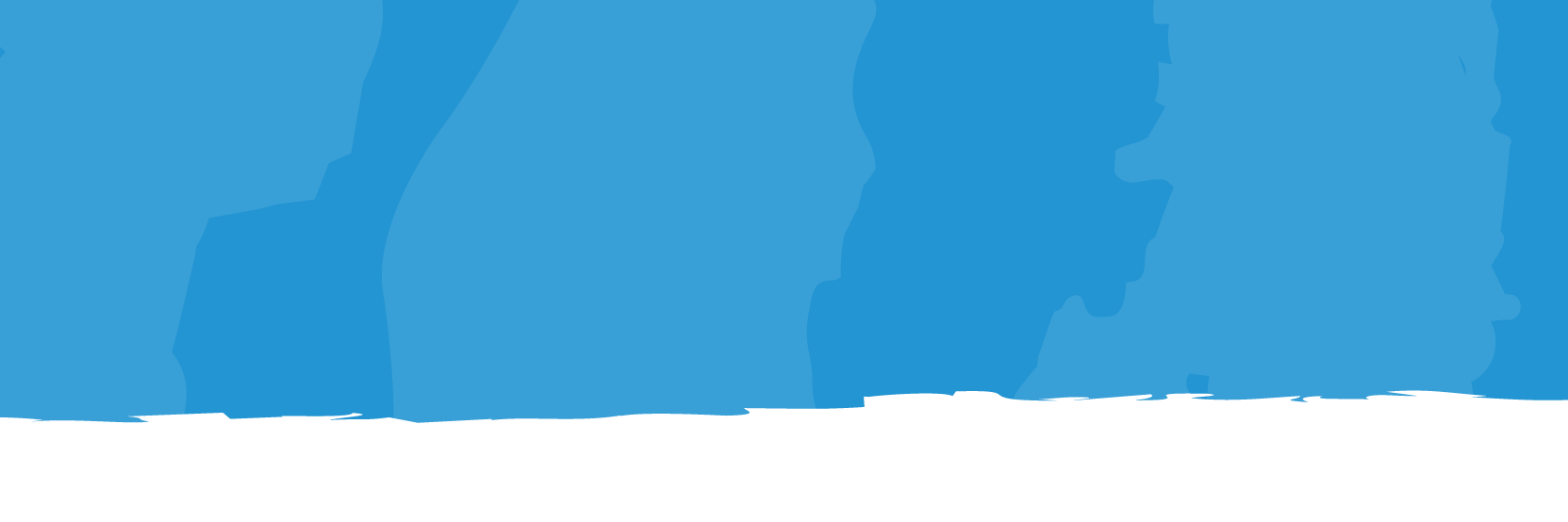 Executive Director banner