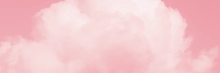 carolinarwt's profile banner image