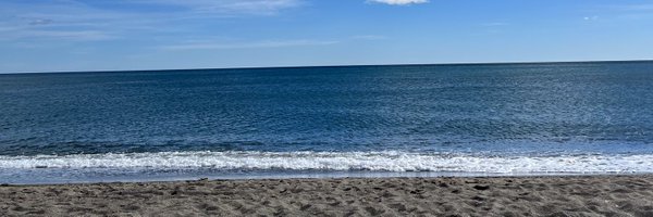 Bluebells048 Profile Banner