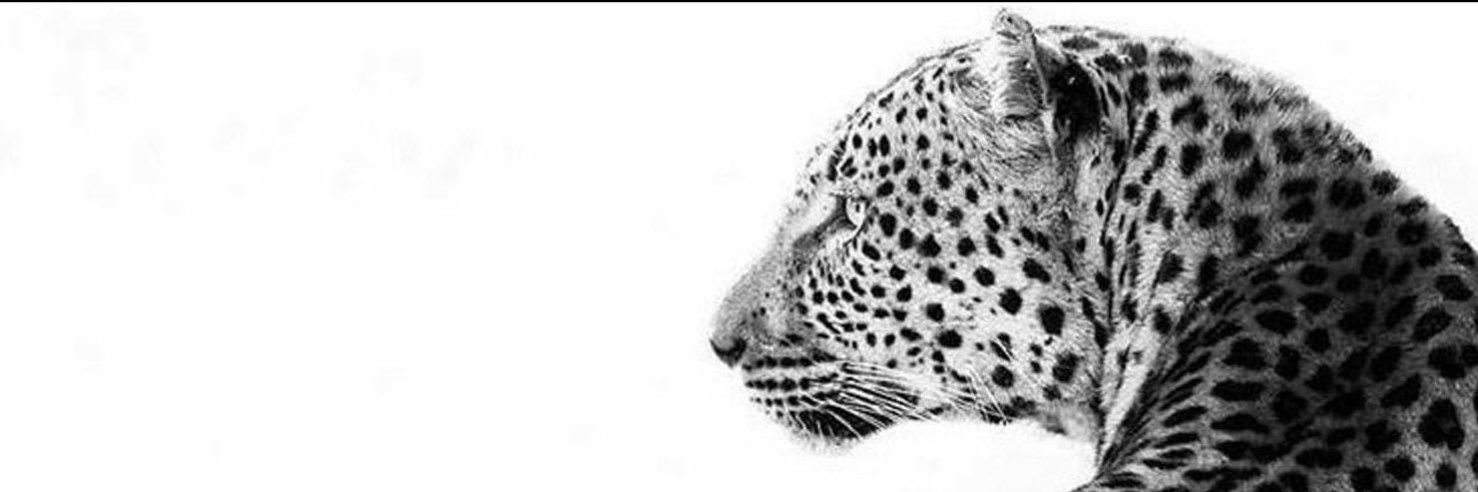 الزيـن's banner