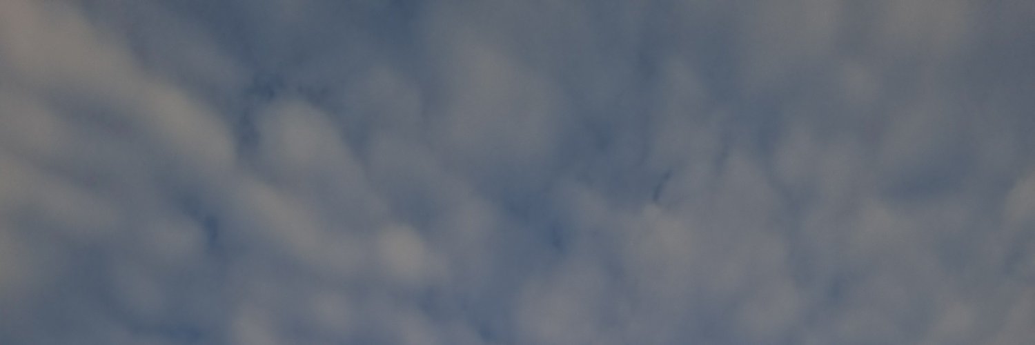 fidellmo's profile banner image