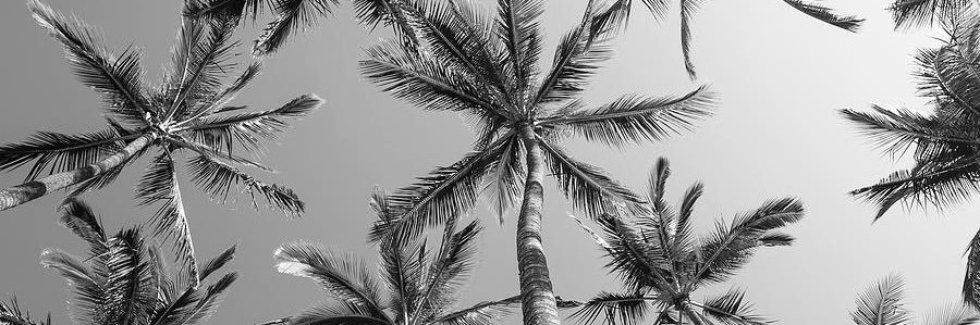 LundgrenE's profile banner image