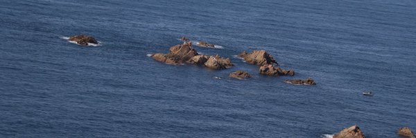 hdporn__2 Profile Banner