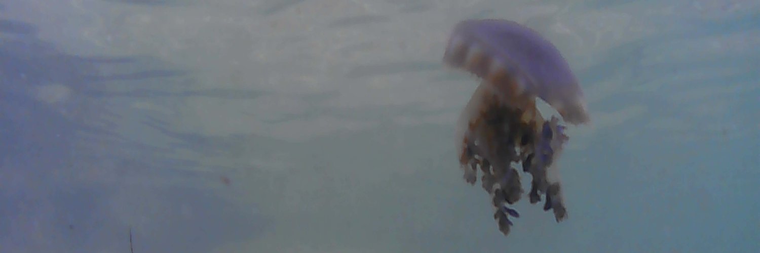 BioBlackBox's profile banner image
