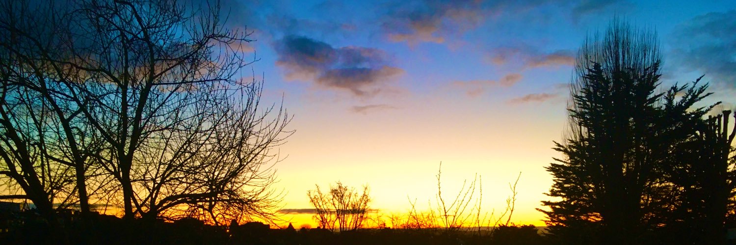 Matthew Steggle banner