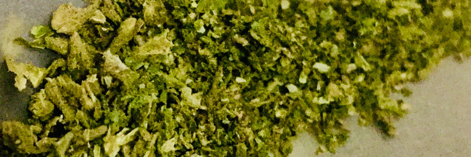 trapwayne1's profile banner image