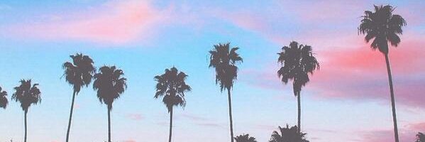 nev banner