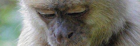 Sajid0086's profile banner image