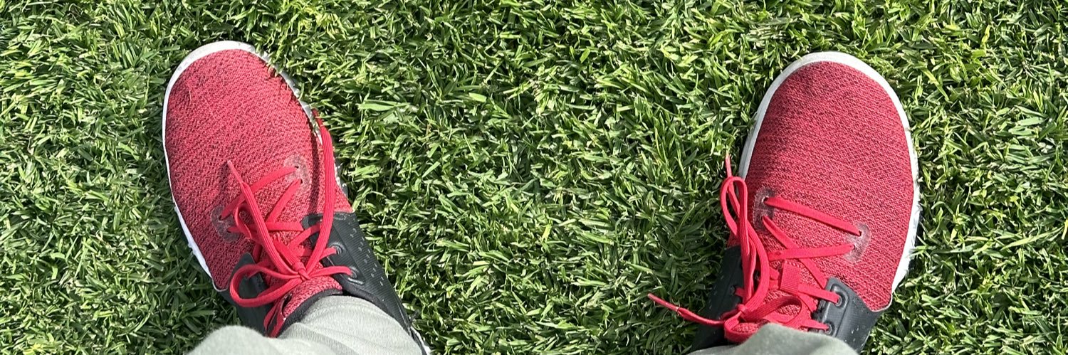 RoyTers ⚡️ banner