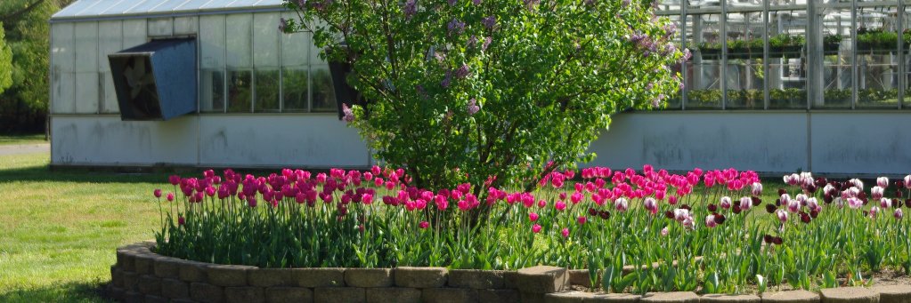 Atlee Horticulture banner