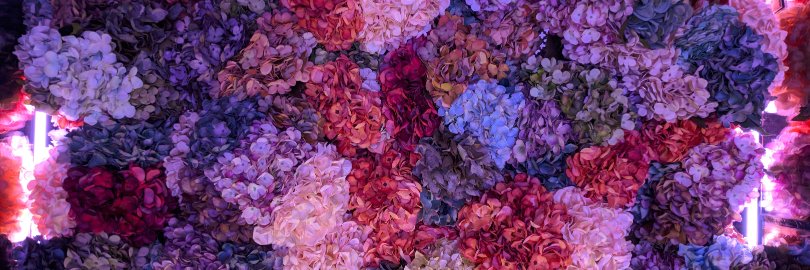 a_ces's profile banner image