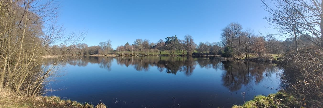 Whitegate & Marton banner