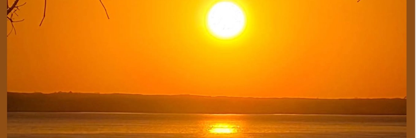 D Rock 🇺🇸🇺🇸 banner