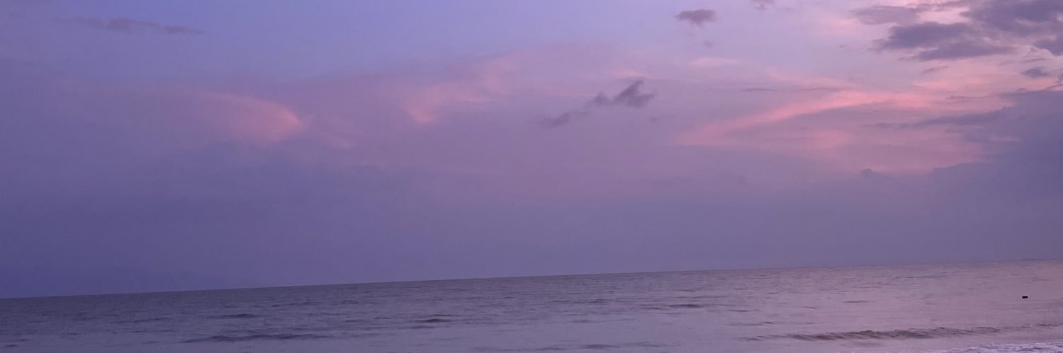 FriddaAv's profile banner image