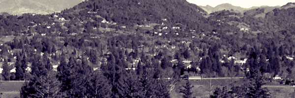 madninja Profile Banner