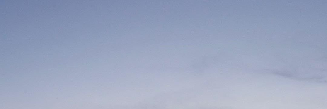 cameliarpdm's profile banner image