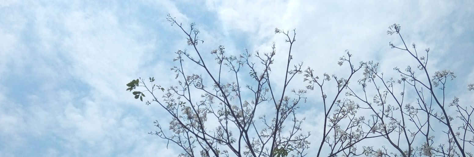 fidamufida's profile banner image