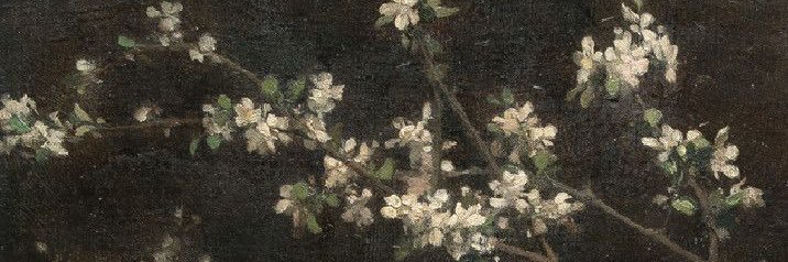 dyl 🦋 | #TEAMFOUNDATION banner