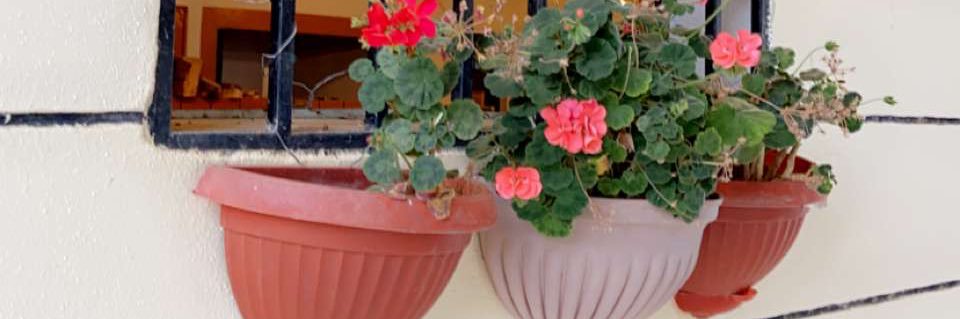 ReemaSaudi's profile banner image