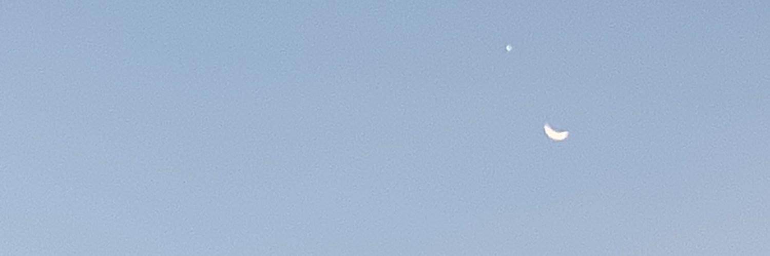 thursdaisyp's profile banner image