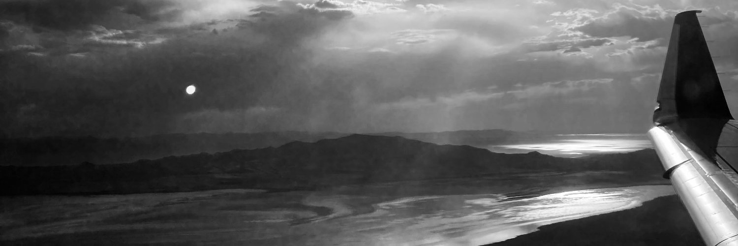 Wendi Laurence banner