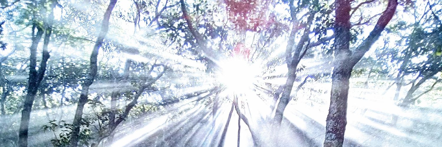 FrankGa7109's profile banner image