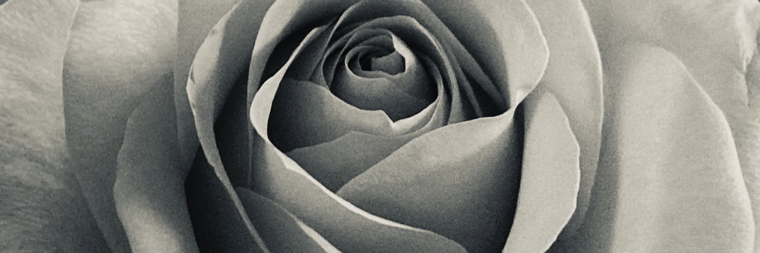 tweetsdiane's profile banner image