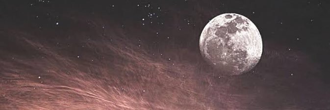 oliveyy's profile banner image