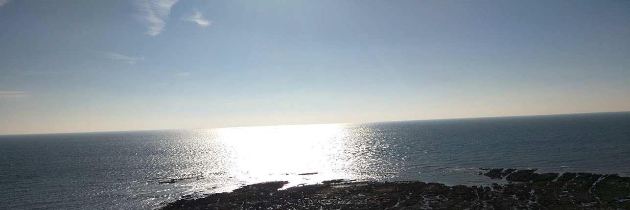 faultybox's profile banner image