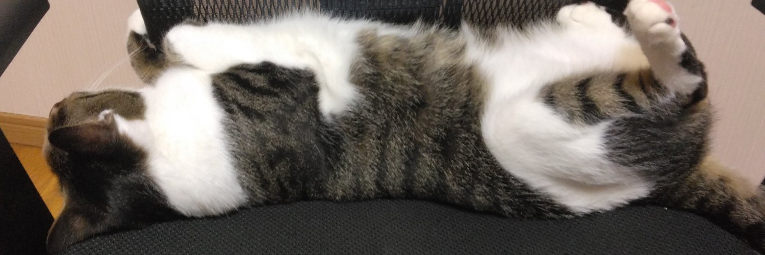 chocokuri's profile banner image