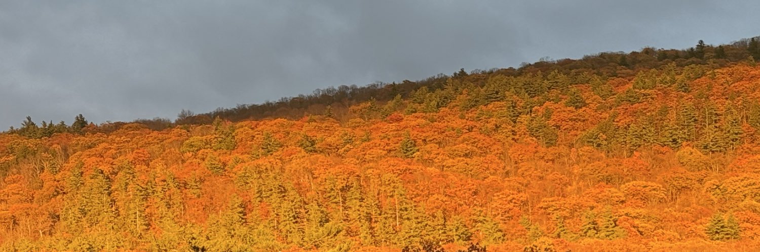 Heetah1's profile banner image