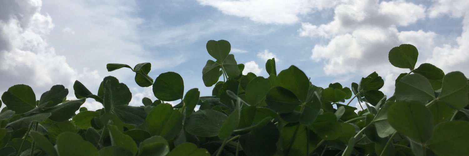 moore1525's profile banner image