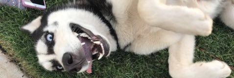 addisonnsmithh's profile banner image