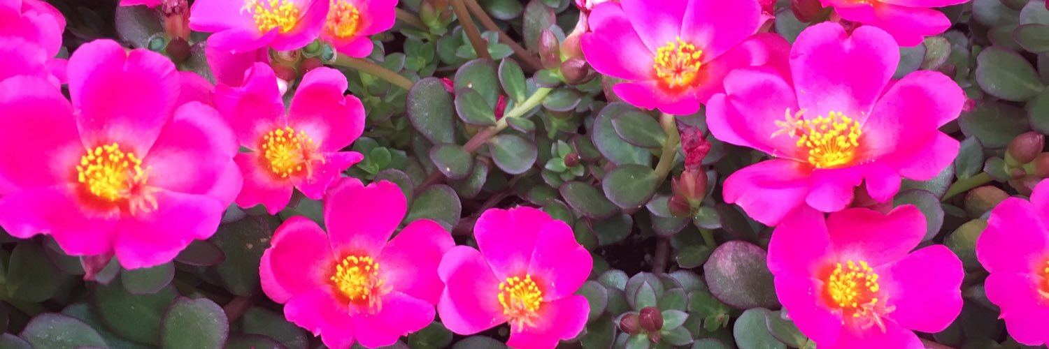 robinmorris1011's profile banner image