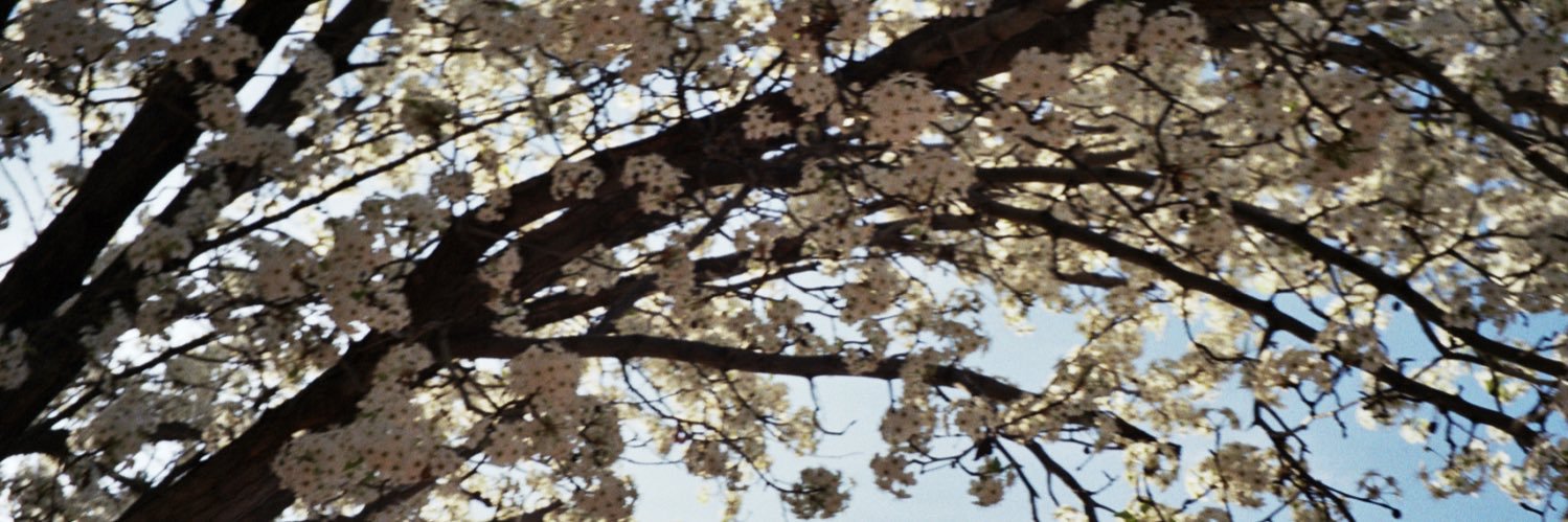 harrstylesluvr's profile banner image