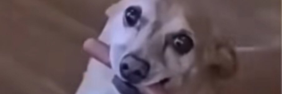 Jordan2Garrison's profile banner image