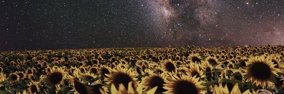 withstand__'s profile banner image