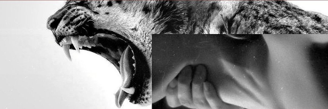 odinez's profile banner image