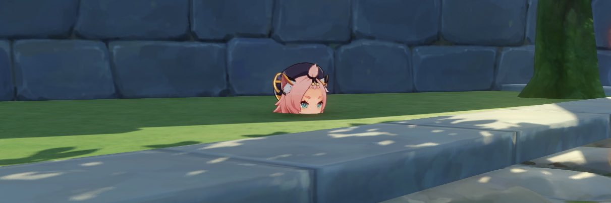 beary banner